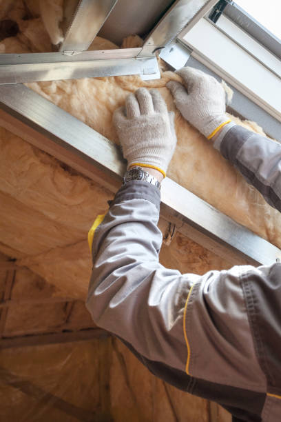 Best Spray Foam Insulation in Villisca, IA